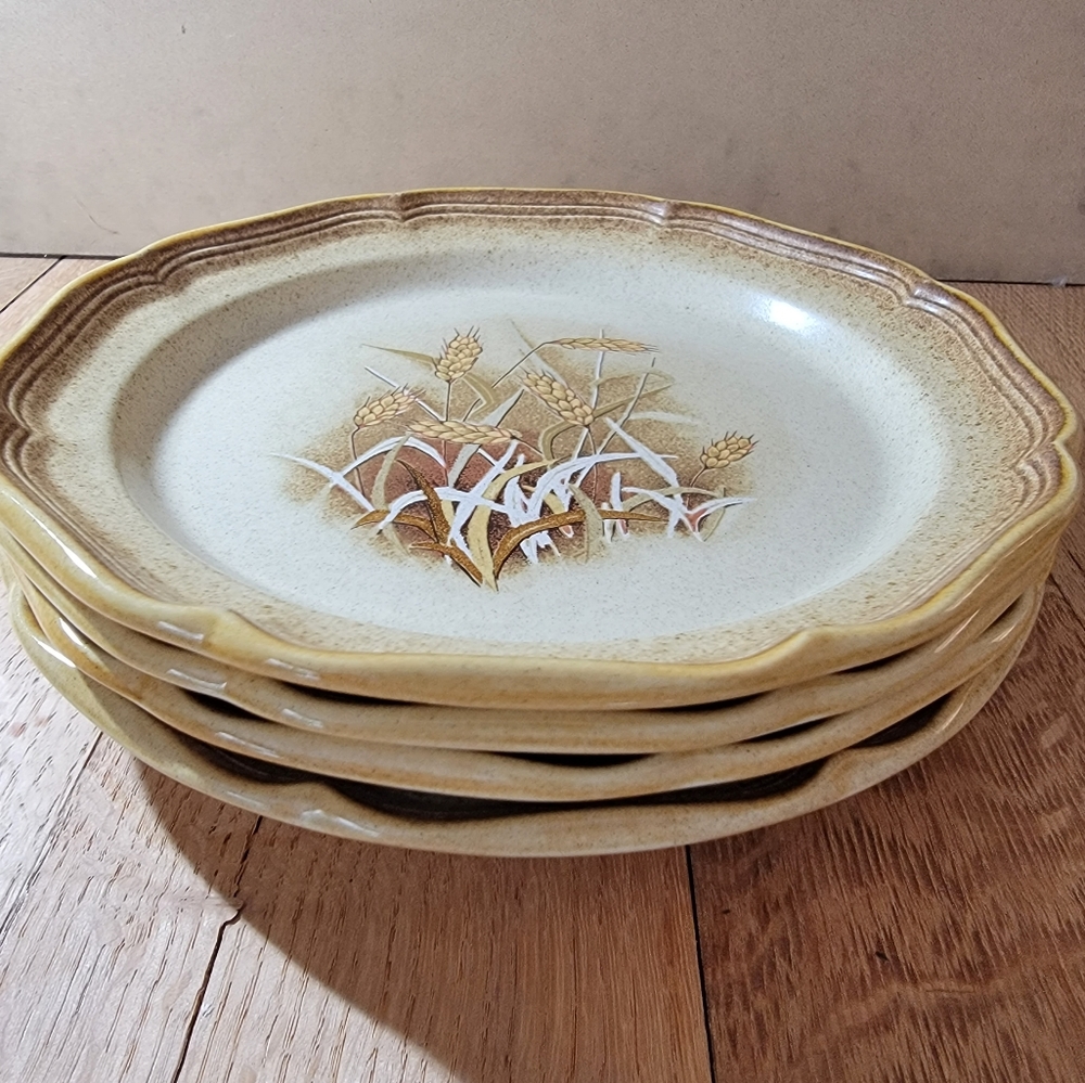 Mikasa whole wheat granola plates